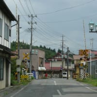 一関市「摺沢」のキキョウ（桔梗）2024年7月29日（月）