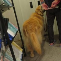 まのんママ週の初めなのに絶不調