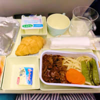 '19カンボジア旅 25 カンボジアよまた会う日まで