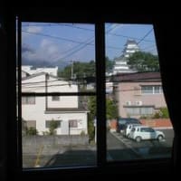 手術 (1)