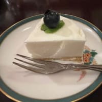 こんにゃくの花が咲いた････雑木林跡地で