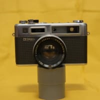 フィルムカメラに目覚めました。