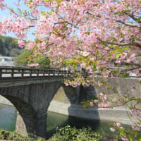 寄口橋　（八女市上陽町）