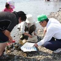 ３回鏡川こども祭（１０月７日）、その３－１・・・石川妙子さんの”川の中の生き物探し”