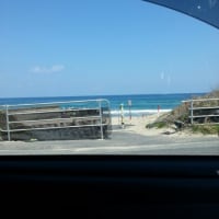 日本海の