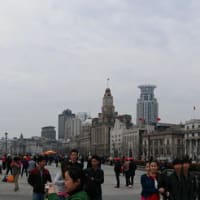 上海で暮らしてみた