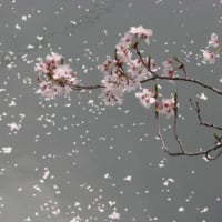 曇りのち晴れ