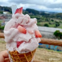 大村市弥勒寺町「 おおむら夢ファーム シュシュ 手作りアイス工房 」▪いちごの甘さが際立つアイスクリーム