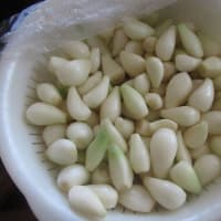 ラッキョのお値段