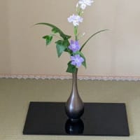 2025.04.19のお稽古（七次式）