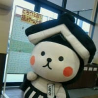 とち介、ベニマルでけなげに営業