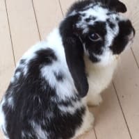 火葬場からお家に