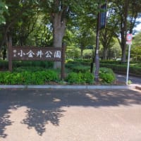 玉川上水緑道を歩く！