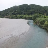 本日の海部川