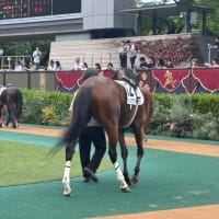 アメイジンググレイス・中編