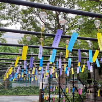 風鈴まつり　若宮八幡社　2023.7.7