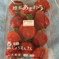 日本から　タイの方が良いかな〜