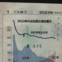 日本の人口問題2024(12)　雇用システムの変化(7)　若者の非婚化