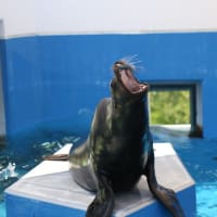 四国水族館