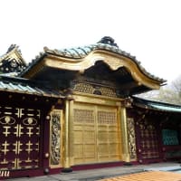 徳川家康公を祀る「上野東照宮」