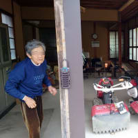 ゴールデンウィークは愛知県の実家で畑仕事