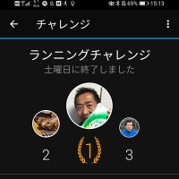 エベレスト賞