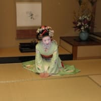 舞妓さん撮影会（京都市美術館庭園にて）参加者大募集！！