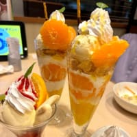 荻窪支部昇級審査会&お疲れ様会