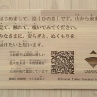 街角のヒノキ