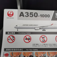 シンガポール旅行　最終日