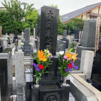 久しぶりだね！　元気で何より・・・