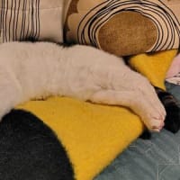 トラブル発生～っ＼(゜ロ＼)(／ロ゜)／