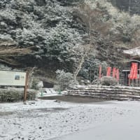 豊川市の雪は