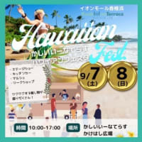Hawaiian Fes🌺