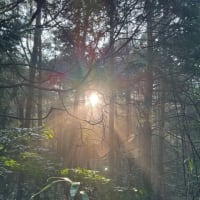 光芒と虹色の蜘蛛の巣