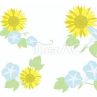 ヒマワリとアサガオ