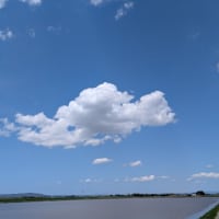 連休最終日