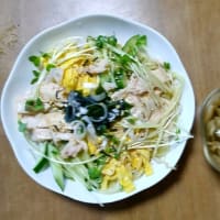 6/18　ひるごはん　冷やし中華