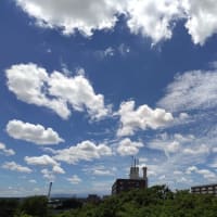暑い七月ですね