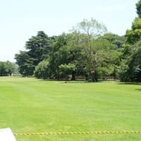 真夏を思わせる6月の実習