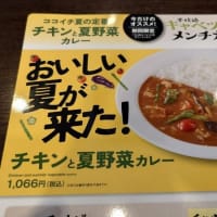 6月なのに「夏だ!?暑いぞ!!此処はカレーだぁぁ!!」