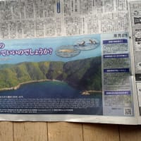 中国新聞　6月26日に意見広告が掲載　中間貯蔵施設に反対！