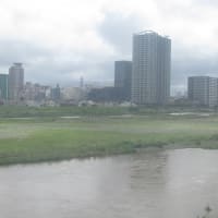 雨雲レーダーを確認し所用を済ます散歩