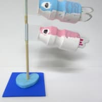 ヤクルト鯉のぼり　完成