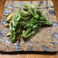 タラの芽を天ぷらに