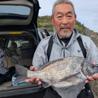 南伊豆 下流 今日の釣果