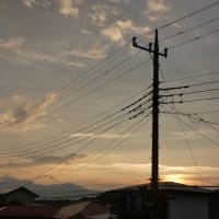 【習近平】石破政権の退陣危機で政権存続を要望！自公過半数割れで退陣は不可避！中国の発言の反対が正解で高市政権が正解！( ｀ー´)ノ