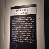 博物館浴（国立科学博物館「古代DNA　ー日本人のきた道ー」）