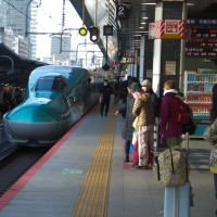 東京駅２０番線ホームを発着する東北新幹線はやぶさ３号　新青森行き