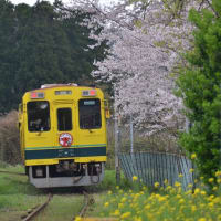 いすみ鉄道でコラボ写真